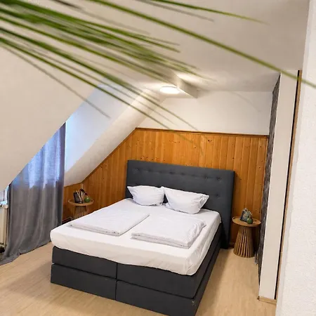 Hotel Ruecking *